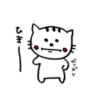 元気猫、豆子の日常。（個別スタンプ：38）