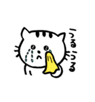 元気猫、豆子の日常。（個別スタンプ：40）