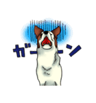 犬の日常。（個別スタンプ：16）