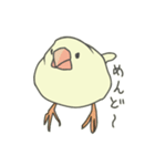 不平不満文鳥（個別スタンプ：1）