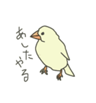 不平不満文鳥（個別スタンプ：13）