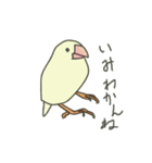 不平不満文鳥（個別スタンプ：26）