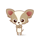 Lucky Chihuahua（個別スタンプ：2）
