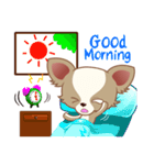 Lucky Chihuahua（個別スタンプ：3）