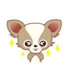 Lucky Chihuahua（個別スタンプ：5）
