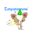 Lucky Chihuahua（個別スタンプ：6）