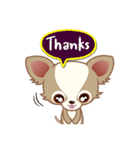 Lucky Chihuahua（個別スタンプ：8）