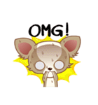 Lucky Chihuahua（個別スタンプ：13）