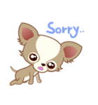 Lucky Chihuahua（個別スタンプ：14）