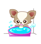 Lucky Chihuahua（個別スタンプ：15）