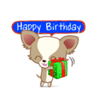 Lucky Chihuahua（個別スタンプ：17）