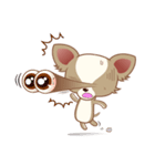 Lucky Chihuahua（個別スタンプ：22）