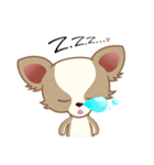 Lucky Chihuahua（個別スタンプ：23）