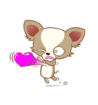 Lucky Chihuahua（個別スタンプ：24）