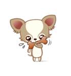 Lucky Chihuahua（個別スタンプ：25）