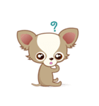 Lucky Chihuahua（個別スタンプ：28）