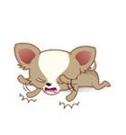 Lucky Chihuahua（個別スタンプ：29）