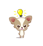 Lucky Chihuahua（個別スタンプ：32）