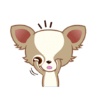 Lucky Chihuahua（個別スタンプ：36）