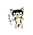 ペットベリー（個別スタンプ：23）