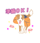 ボーダーコリー犬（個別スタンプ：35）