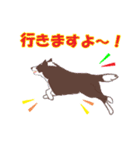 ボーダーコリー犬（個別スタンプ：36）