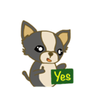 Chihuahua Cawaii（個別スタンプ：10）