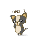 Chihuahua Cawaii（個別スタンプ：25）