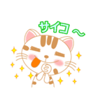 三毛ねこの日常 第2弾！ (会話文字入り)（個別スタンプ：17）