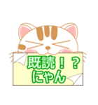 三毛ねこの日常 第2弾！ (会話文字入り)（個別スタンプ：40）