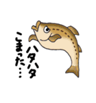 ダジャレ魚類図鑑（個別スタンプ：19）