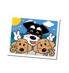 B＆Sシュナ「バースのくせに2」（個別スタンプ：37）