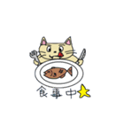 お気楽にゃーこのスタンプ（個別スタンプ：19）