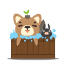 Ki ＆ Ha（個別スタンプ：39）