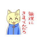 ジャージ猫（個別スタンプ：16）