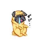 Pug's Life (パグズ ライフ)（個別スタンプ：32）