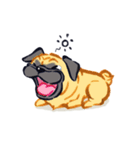 Pug's Life (パグズ ライフ)（個別スタンプ：34）