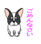 子犬の豆太郎（Japanese ver.）（個別スタンプ：8）
