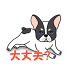 子犬の豆太郎（Japanese ver.）（個別スタンプ：10）