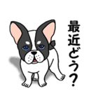 子犬の豆太郎（Japanese ver.）（個別スタンプ：14）