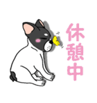 子犬の豆太郎（Japanese ver.）（個別スタンプ：24）