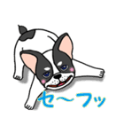 子犬の豆太郎（Japanese ver.）（個別スタンプ：29）