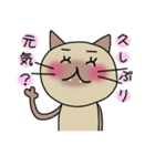 ねここ（個別スタンプ：20）