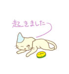 グラ猫さんの日常～第一章～（個別スタンプ：10）