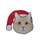 ねこのクリスマス（個別スタンプ：6）