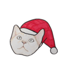 ねこのクリスマス（個別スタンプ：7）