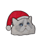 ねこのクリスマス（個別スタンプ：14）