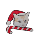 ねこのクリスマス（個別スタンプ：30）