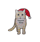 ねこのクリスマス（個別スタンプ：33）