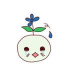 タネちゃん。（個別スタンプ：3）